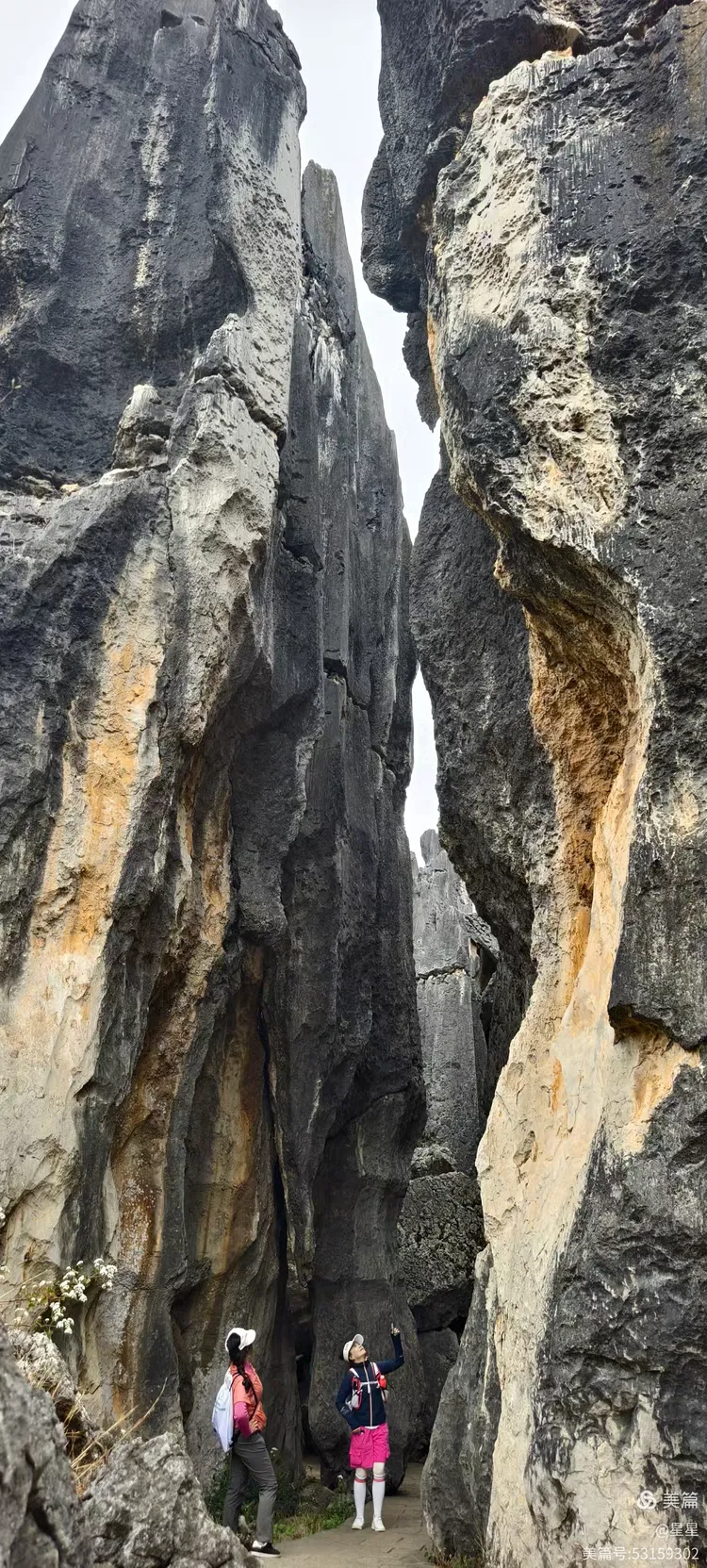 万年灵芝,大熔盆,李子园箐,步哨山景区,石林地质博物馆